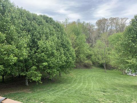 360 Culver Road Limestone Tn 37681, Limestone, TN 37681 photo 5