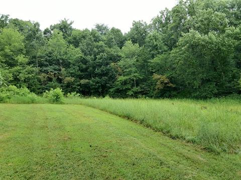 345 Bearfield Road Chuckey Tn 37641, Chuckey, TN 37641 photo 15