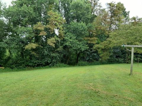 345 Bearfield Road Chuckey Tn 37641, Chuckey, TN 37641 photo 17
