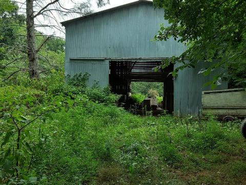 345 Bearfield Road Chuckey Tn 37641, Chuckey, TN 37641 photo 16