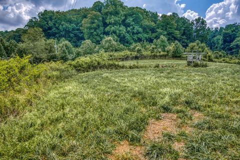 28318 Robindale Road Meadowview Va 24361, Meadowview, VA 24361 photo 11