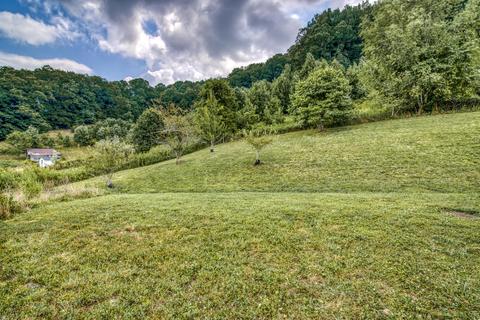 28318 Robindale Road Meadowview Va 24361, Meadowview, VA 24361 photo 5