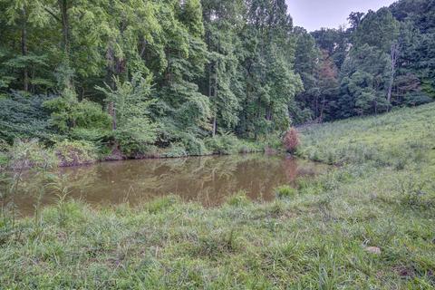 932 Castene Rd Ewing Va 24248, Ewing, VA 24248 photo 41