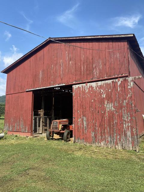 2910 Temple Hill Road Erwin Tn 37650, Erwin, TN 37650 photo 11
