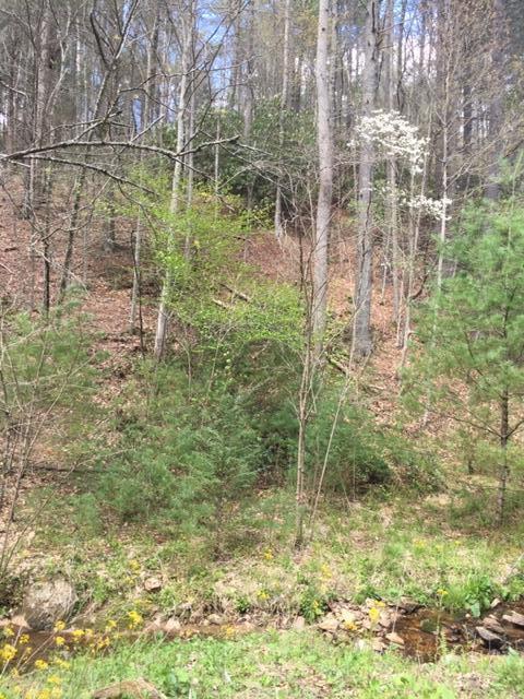 230 Coy Williams Road Erwin Tn 37650, Erwin, TN 37650 photo 3