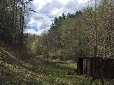 230 Coy Williams Road Erwin Tn 37650, Erwin, TN 37650 photo 2