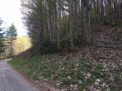 230 Coy Williams Road Erwin Tn 37650, Erwin, TN 37650 photo 5