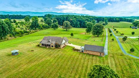 313 Saylor Hill Road Limestone Tn 37681, Limestone, TN 37681 photo 50