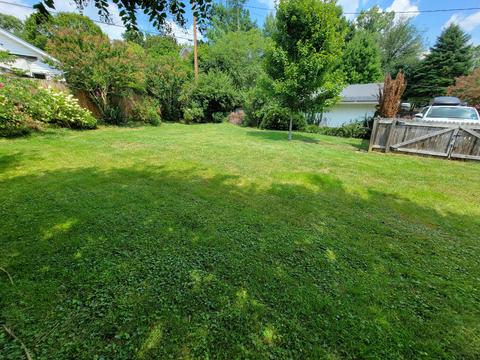 615 Euclid Avenue Bristol Va 24201, Bristol, VA 24201 photo 54