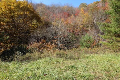 lot59 Laurel Way Mountain City Tn 37683, Mountain City, TN 37683