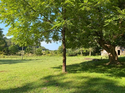 16199 Rust Hollow Road Abingdon Va 24210, Abingdon, VA 24210 photo 3