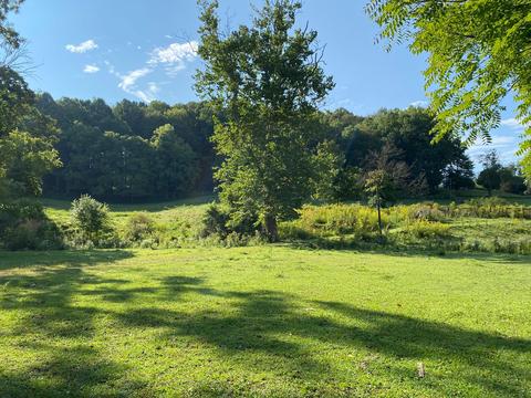 16199 Rust Hollow Road Abingdon Va 24210, Abingdon, VA 24210 photo 4