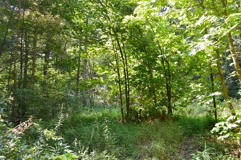 106 Bumblebee Lane Chuckey Tn 37641, Chuckey, TN 37641 photo 19