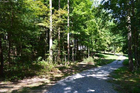 106 Bumblebee Lane Chuckey Tn 37641, Chuckey, TN 37641 photo 5