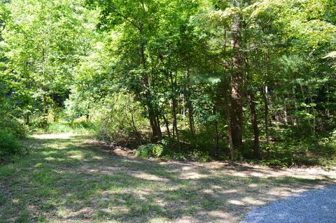 106 Bumblebee Lane Chuckey Tn 37641, Chuckey, TN 37641 photo 6