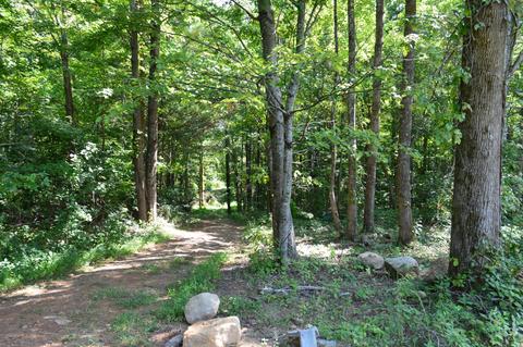 106 Bumblebee Lane Chuckey Tn 37641, Chuckey, TN 37641 photo 17
