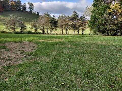 13184 Summit Drive Meadowview Va 24361, Meadowview, VA 24361 photo 28