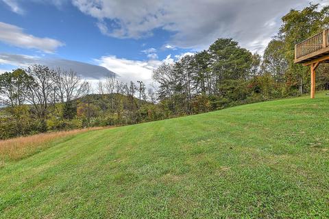 125 Whitlock Drive Fall Branch Tn 37656, Fall Branch, TN 37656 photo 37