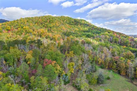 365 Frank Thacker Lane Greeneville Tn 37745, Greeneville, TN 37745 photo 7