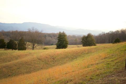 778 Bailey Bridge Road Limestone Tn 37681, Limestone, TN 37681 photo 10