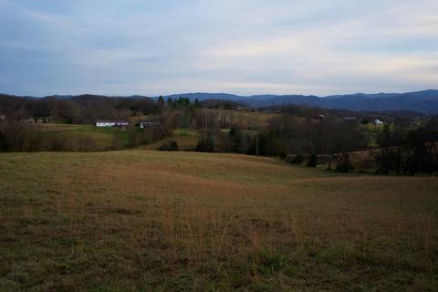 778 Bailey Bridge Road Limestone Tn 37681, Limestone, TN 37681 photo 16