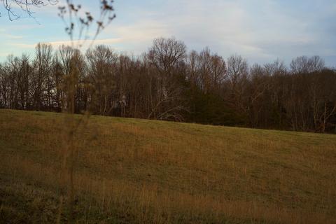 778 Bailey Bridge Road Limestone Tn 37681, Limestone, TN 37681 photo 13