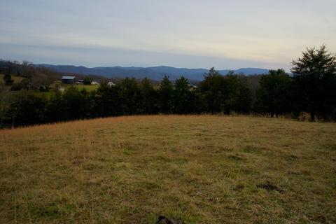 778 Bailey Bridge Road Limestone Tn 37681, Limestone, TN 37681 photo 22