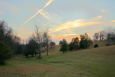 778 Bailey Bridge Road Limestone Tn 37681, Limestone, TN 37681 photo 18