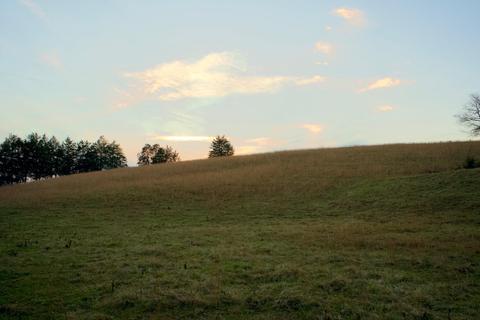 778 Bailey Bridge Road Limestone Tn 37681, Limestone, TN 37681 photo 20