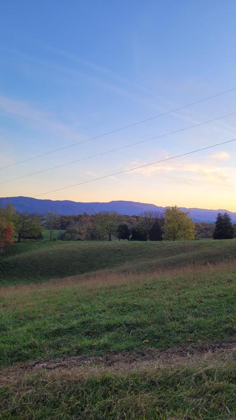 778 Bailey Bridge Road Limestone Tn 37681, Limestone, TN 37681 photo 4