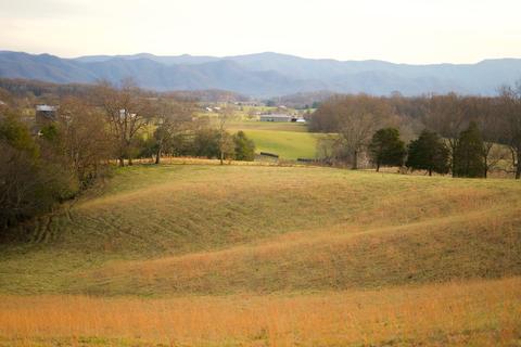 778 Bailey Bridge Road Limestone Tn 37681, Limestone, TN 37681 photo 9