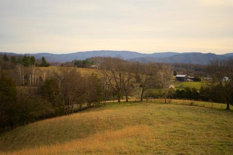 778 Bailey Bridge Road Limestone Tn 37681, Limestone, TN 37681 photo 12