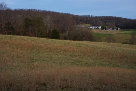 778 Bailey Bridge Road Limestone Tn 37681, Limestone, TN 37681 photo 14