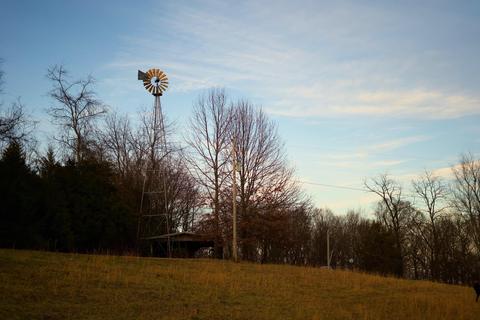 778 Bailey Bridge Road Limestone Tn 37681, Limestone, TN 37681 photo 5