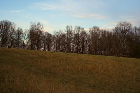 778 Bailey Bridge Road Limestone Tn 37681, Limestone, TN 37681 photo 15