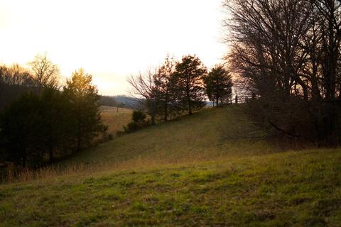 778 Bailey Bridge Road Limestone Tn 37681, Limestone, TN 37681 photo 11