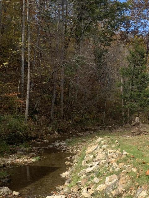 12320 Horton Ford Road Eidson Tn 37731, Eidson, TN 37731 photo 5