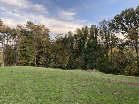 1208 Corby Bridge Road Chuckey Tn 37641, Chuckey, TN 37641 photo 11