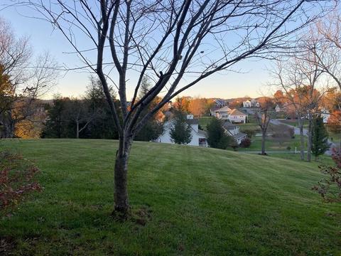 33641 Spring Hill Drive Glade Spring Va 24340, Glade Spring, VA 24340 photo 44
