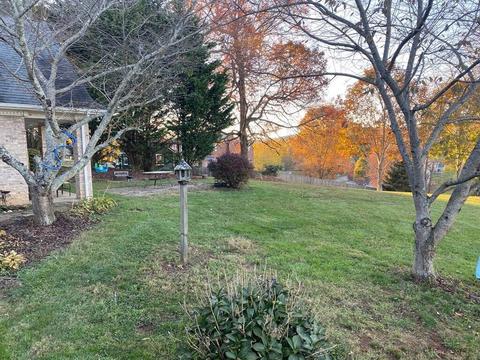 33641 Spring Hill Drive Glade Spring Va 24340, Glade Spring, VA 24340 photo 38