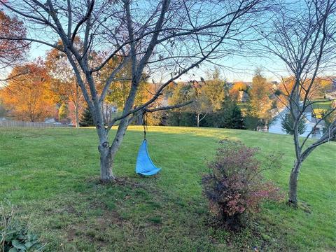 33641 Spring Hill Drive Glade Spring Va 24340, Glade Spring, VA 24340 photo 37