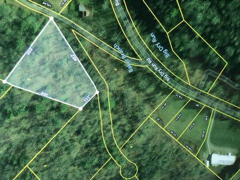 tbd Copperhead Hollow Road Butler Tn 37640, Butler, TN 37640