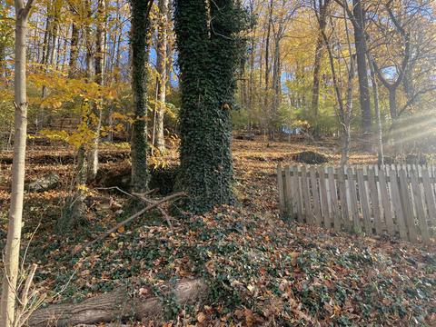 00 Meadowbrook Dr Johnson City Tn 37604, Johnson City, TN 37604