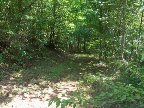 0 Pavaletta Ave Hiltons Va 24258, Hiltons, VA 24258