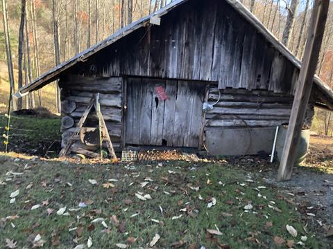 155 Stout Hollow Road Hampton Tn 37658, Hampton, TN 37658 photo 8