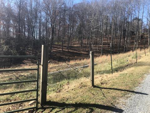155 Stout Hollow Road Hampton Tn 37658, Hampton, TN 37658 photo 13