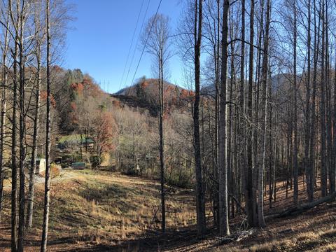 155 Stout Hollow Road Hampton Tn 37658, Hampton, TN 37658 photo 2