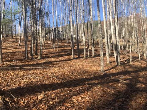 155 Stout Hollow Road Hampton Tn 37658, Hampton, TN 37658 photo 20