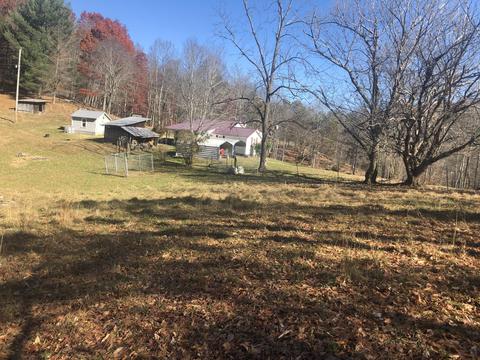 155 Stout Hollow Road Hampton Tn 37658, Hampton, TN 37658 photo 23