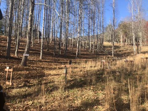 155 Stout Hollow Road Hampton Tn 37658, Hampton, TN 37658 photo 11
